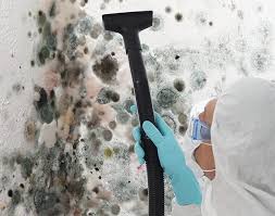 Best Biohazard Mold Removal  in Shelbyville, TN